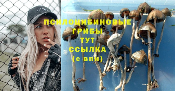 не бодяженный Балахна