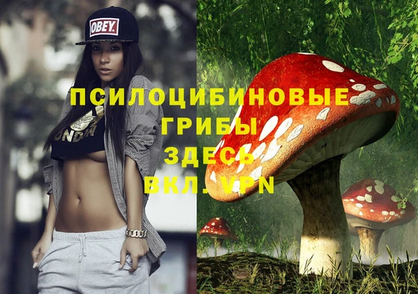 сатива Баксан