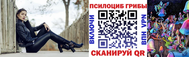 KRAKEN зеркало  Новоалександровск  Галлюциногенные грибы MAGIC MUSHROOMS  купить наркоту 
